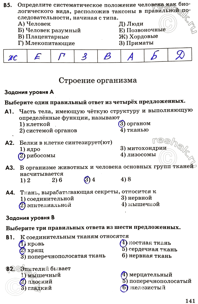 Изображение В5. Определите систематическое положение человека как биологического вида, расположив таксоны в правильной последовательности, начиная с типа.A) Человек Д) ЛюдиБ)...
