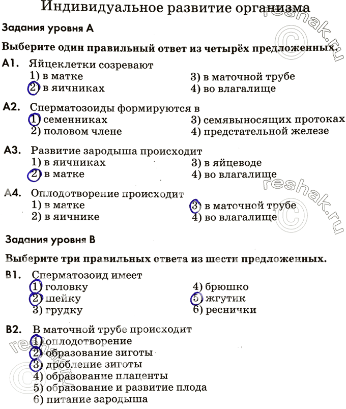 Изображение Индивидуальное развитие организмаЗадания уровня АВыберите один правильный ответ из четырёх предложенных.А1. Яйцеклетки созревают1) в матке 3) в маточной...