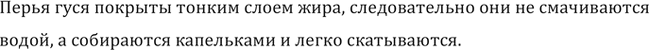 Изображение №585 ГДЗ Рымкевич 10-11 класс